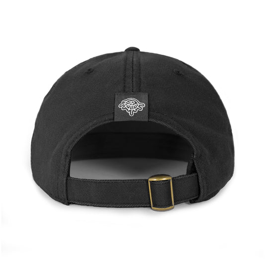 Evolver Washed Hat
